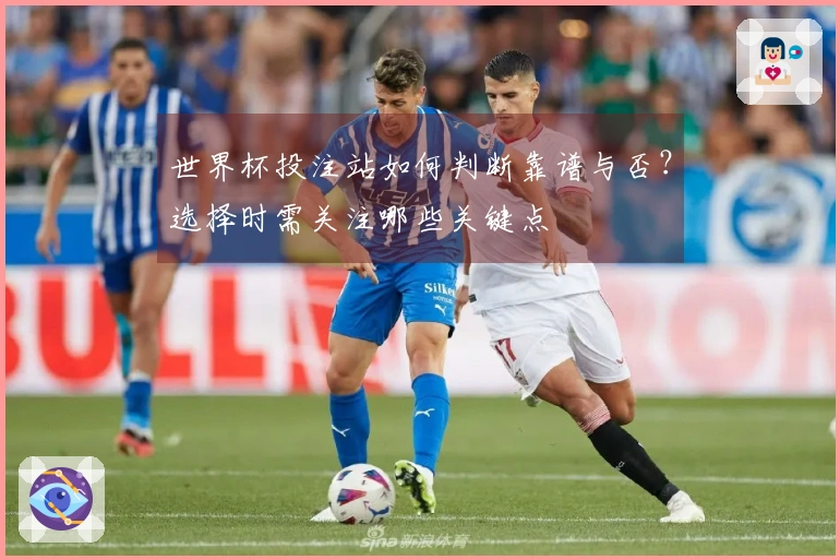 世界杯投注站如何判断靠谱与否？选择时需关注哪些关键点