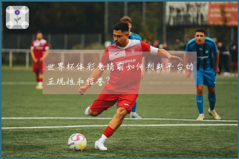世界杯体彩竞猜前如何判断平台的正规性和信誉？