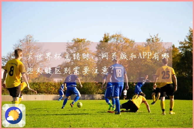 买世界杯竞猜时，网页版和APP有哪些关键区别需要注意？