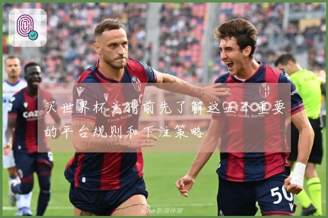 买世界杯竞猜前先了解这五个重要的平台规则和下注策略