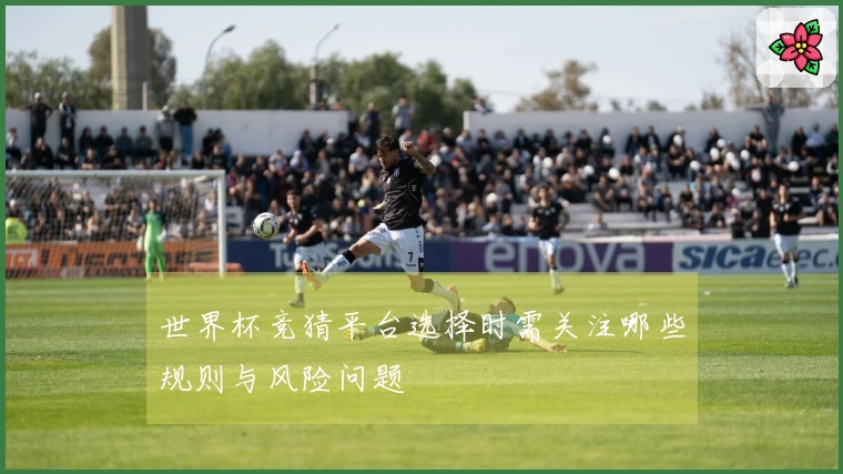 世界杯竞猜平台选择时需关注哪些规则与风险问题