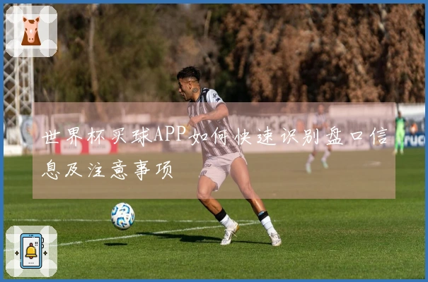 世界杯买球APP如何快速识别盘口信息及注意事项