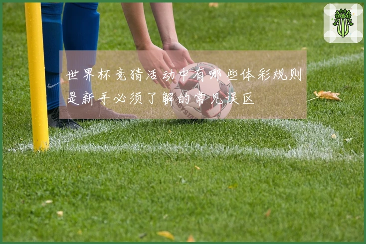世界杯竞猜活动中有哪些体彩规则是新手必须了解的常见误区