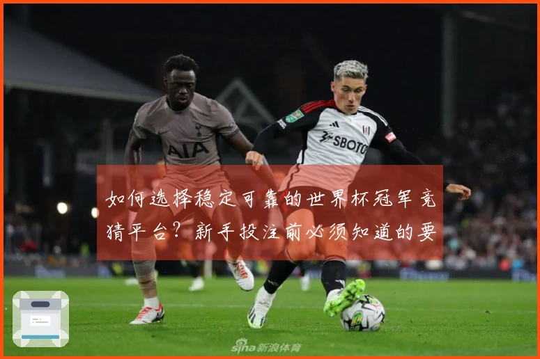 如何选择稳定可靠的世界杯冠军竞猜平台？新手投注前必须知道的要点
