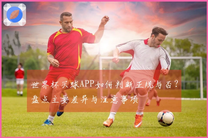 世界杯买球APP如何判断正规与否？盘点主要差异与注意事项
