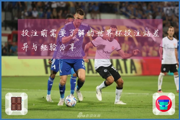 投注前需要了解的世界杯投注站差异与经验分享