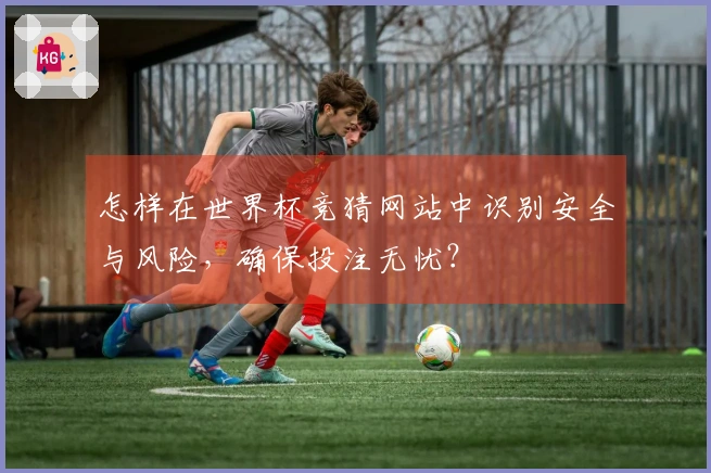 怎样在世界杯竞猜网站中识别安全与风险，确保投注无忧？