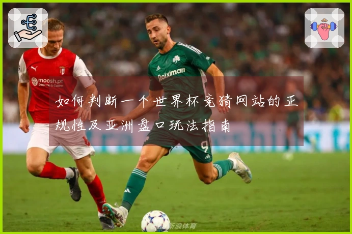 如何判断一个世界杯竞猜网站的正规性及亚洲盘口玩法指南