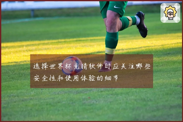 选择世界杯竞猜软件时应关注哪些安全性和使用体验的细节