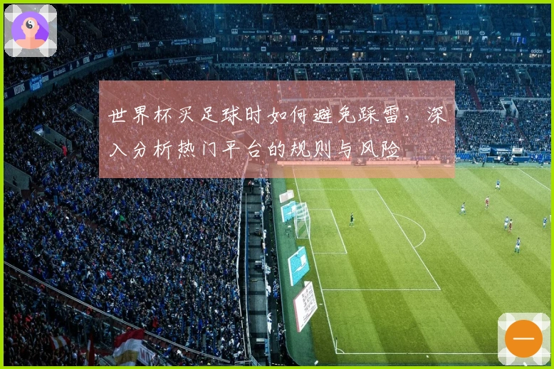 世界杯买足球时如何避免踩雷，深入分析热门平台的规则与风险