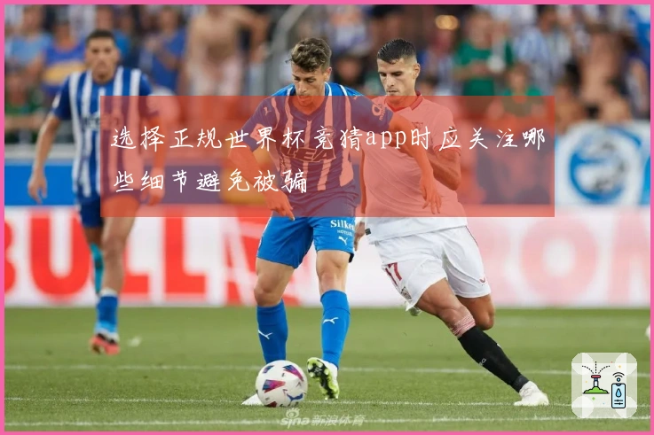 选择正规世界杯竞猜app时应关注哪些细节避免被骗