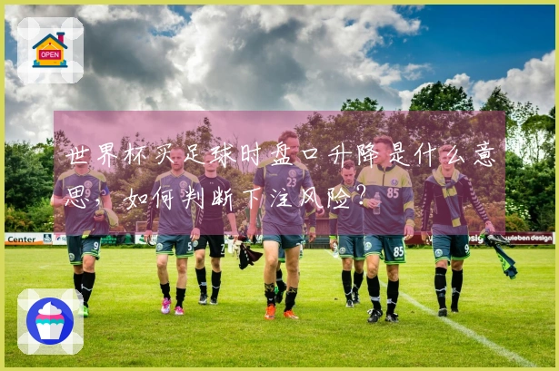 世界杯买足球时盘口升降是什么意思，如何判断下注风险？