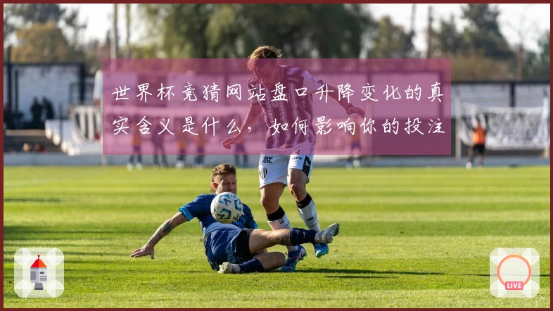 世界杯竞猜网站盘口升降变化的真实含义是什么，如何影响你的投注判断？