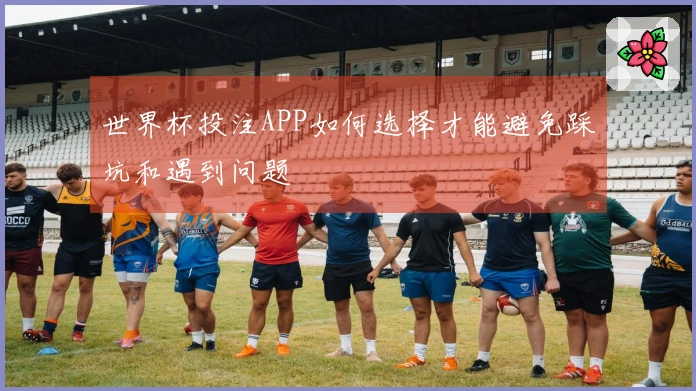 世界杯投注APP如何选择才能避免踩坑和遇到问题