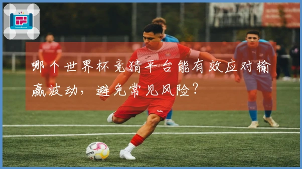 哪个世界杯竞猜平台能有效应对输赢波动，避免常见风险？