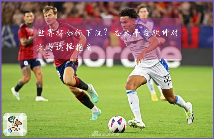 世界杯如何下注？各大平台软件对比与选择指南