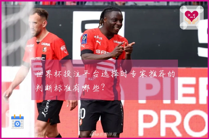 世界杯投注平台选择时专家推荐的判断标准有哪些？