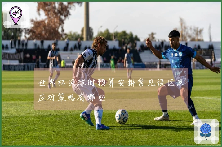 世界杯买球时预算安排常见误区及应对策略有哪些