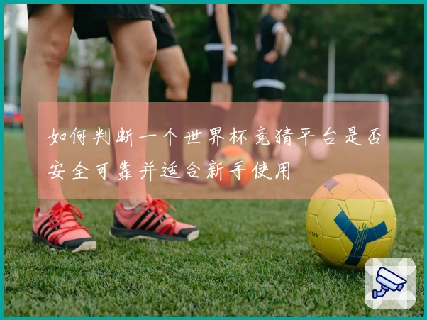 如何判断一个世界杯竞猜平台是否安全可靠并适合新手使用