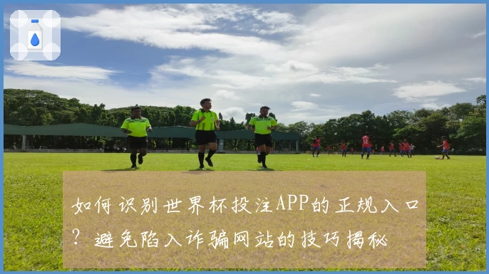 如何识别世界杯投注APP的正规入口？避免陷入诈骗网站的技巧揭秘