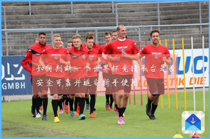 如何判断一个世界杯竞猜平台是否安全可靠并适合新手使用