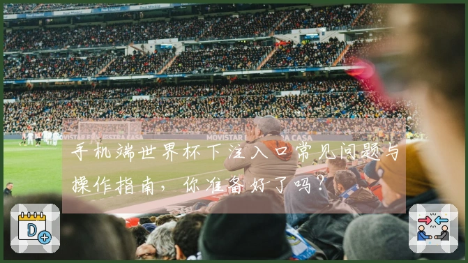 手机端世界杯下注入口常见问题与操作指南，你准备好了吗？