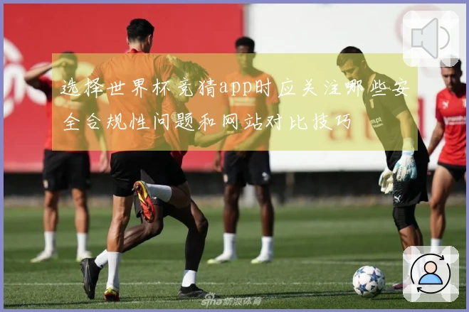 选择世界杯竞猜app时应关注哪些安全合规性问题和网站对比技巧