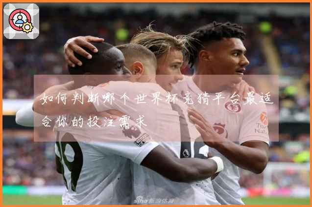 如何判断哪个世界杯竞猜平台最适合你的投注需求