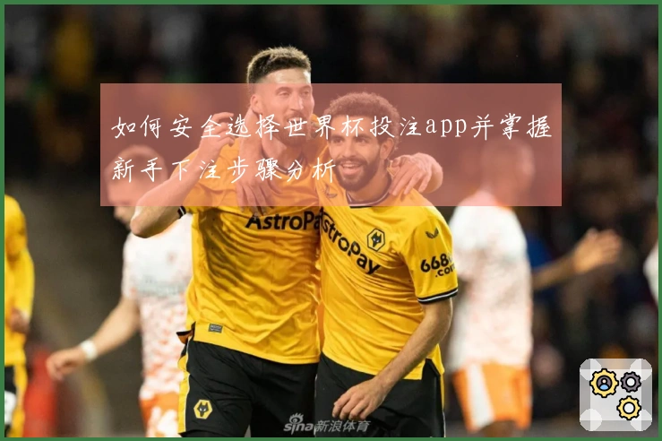 如何安全选择世界杯投注app并掌握新手下注步骤分析
