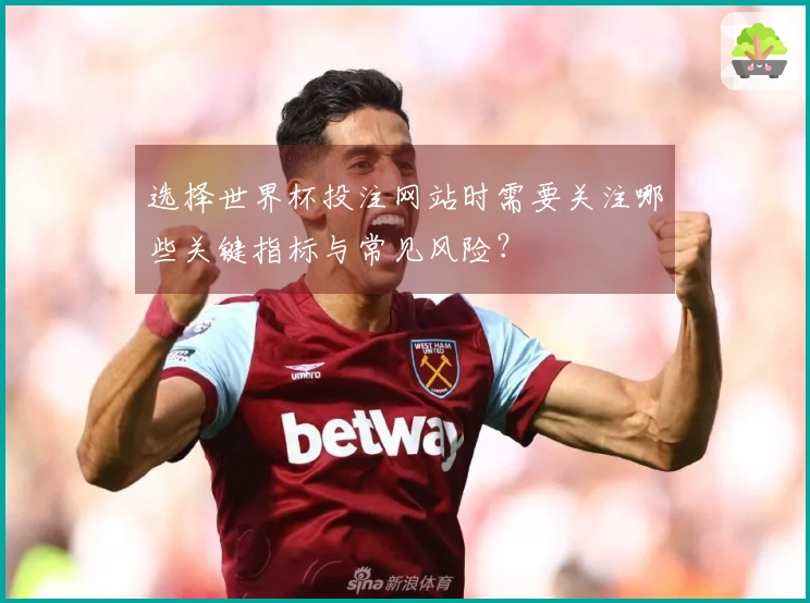 选择世界杯投注网站时需要关注哪些关键指标与常见风险？