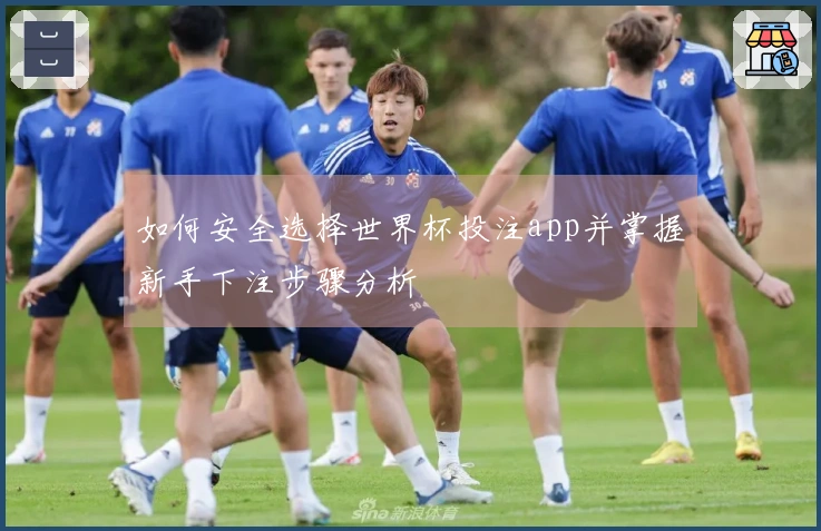 如何安全选择世界杯投注app并掌握新手下注步骤分析