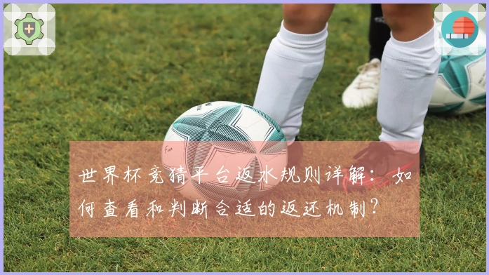 世界杯竞猜平台返水规则详解：如何查看和判断合适的返还机制？