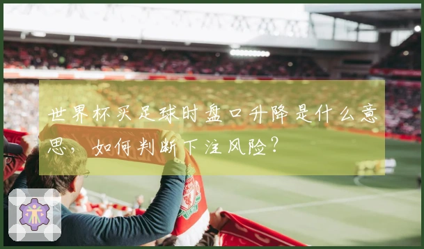 世界杯买足球时盘口升降是什么意思，如何判断下注风险？