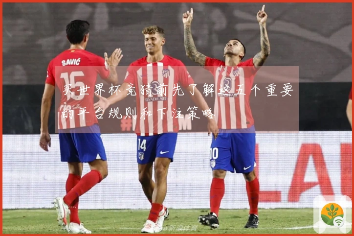 买世界杯竞猜前先了解这五个重要的平台规则和下注策略