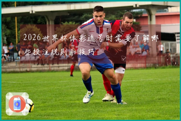 2026世界杯体彩选号时需要了解哪些投注规则和技巧