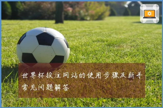 世界杯投注网站的使用步骤及新手常见问题解答