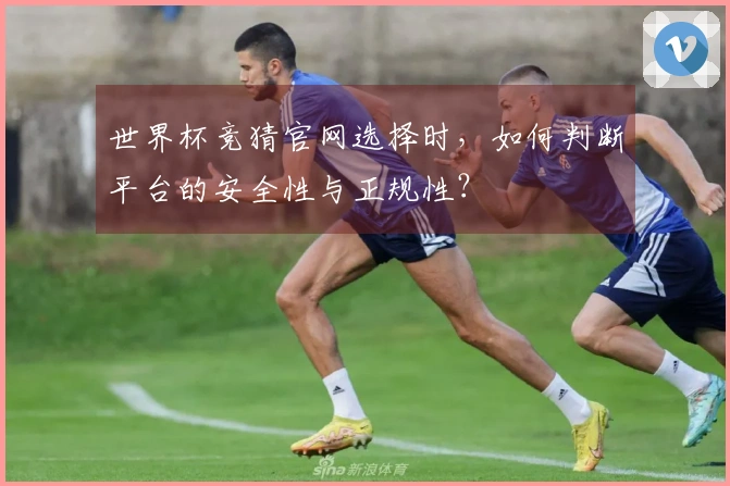 世界杯竞猜官网选择时，如何判断平台的安全性与正规性？