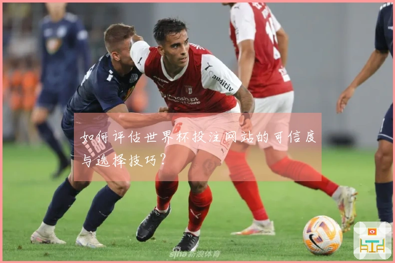 如何评估世界杯投注网站的可信度与选择技巧？