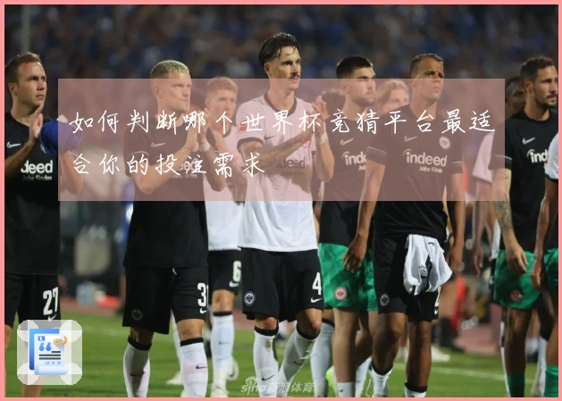 如何判断哪个世界杯竞猜平台最适合你的投注需求