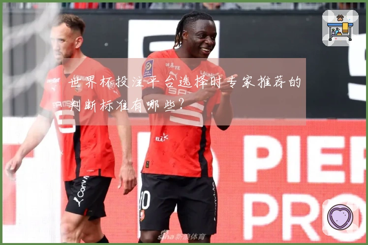 世界杯投注平台选择时专家推荐的判断标准有哪些？