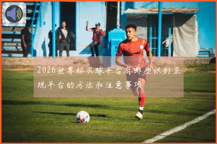 2026世界杯买球平台有哪些识别正规平台的方法和注意事项