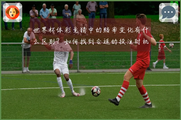 世界杯体彩竞猜中的赔率变化有什么区别？如何找到合适的投注时机？